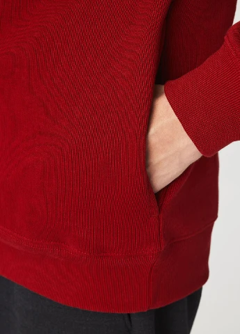 Толстовка Lacoste (329629352)