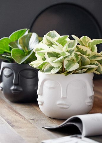 Горшок для цветов, 13 см Butlers (258902121)