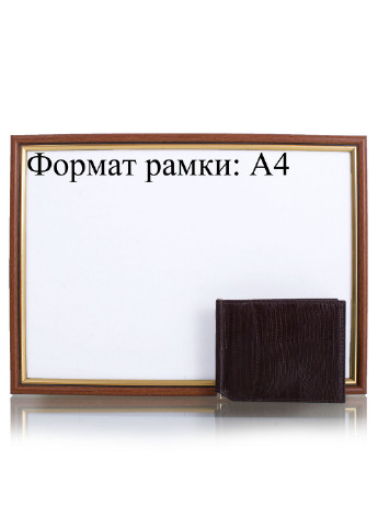 Мужской кожаный зажим для купюр 11х8,5х0,5 см Canpellini (255406013)
