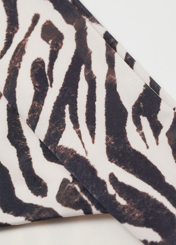 Цветные купальные трусики-плавки зебра H&M