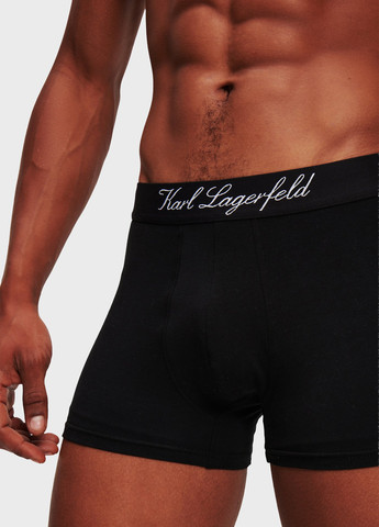 Трусы (3 шт.) Karl Lagerfeld (345754152)