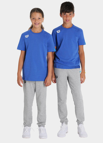 Синя демісезонна футболка Arena TEAM T-SHIRT PANEL