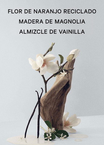 Міст Bare Magnolia, 75 мл Victoria's Secret (299193546)