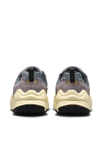 Кросівки Nike TECH HERA комбіновані демісезони (348139115)