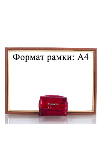 Женский кожаный кошелек 9,2х6,5х4 см Lorenti (195538370)