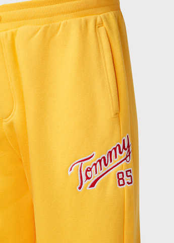 Штани Tommy Jeans (259685887)
