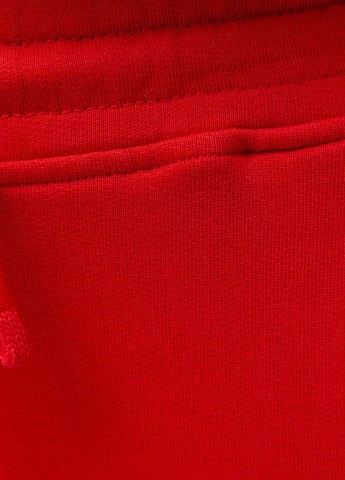 Брюки Les Benjamins 302 (329038193)