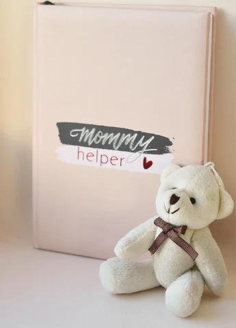 Планер-щоденник для вагітних і молодих мам Mommy Helper (242149628)