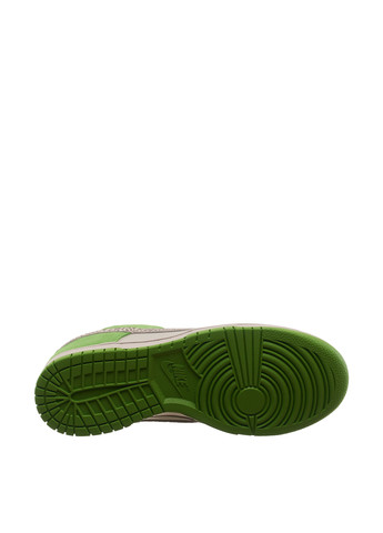 Цветные всесезонные кроссовки dr0156-300_2024 Nike Dunk Low