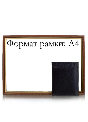 Чоловіче шкіряне портмоне 10х12,5х2,5 см Grass (195771467)