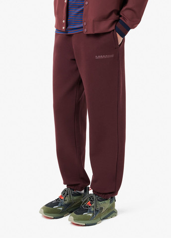 Штани Lacoste Regular Fit (329038176)