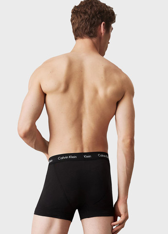 Трусы (3 шт.) Calvin Klein (366424648)