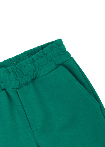 Зеленые спортивные демисезонные джоггеры брюки Garnamama