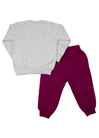 Бордовий демісезонний костюм (світшот, брюки) брючний Breeze