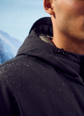 Парка Springfield (315624462)