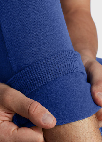 Синие спортивные демисезонные джоггеры брюки Under Armour