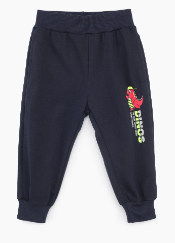 Спортивні штани S&D (253994442)