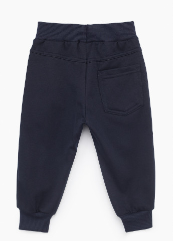 Спортивні штани S&D (253994442)