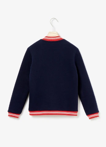 Толстовка Lacoste (250166225)