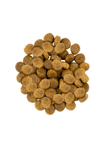 Сухий корм для собак середніх порід зі свіжим м’ясом індички і ягняти, 12 кг Savory (231268526)