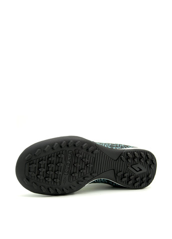 Черные cороконожки Dugana