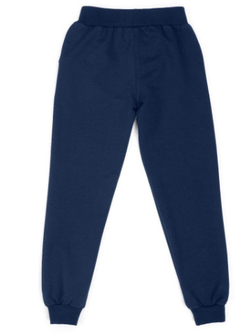 Синий демисезонный спортивный костюм в горошек (7858-140g-gray) Breeze