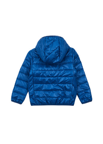Синяя демисезонная куртка Z16