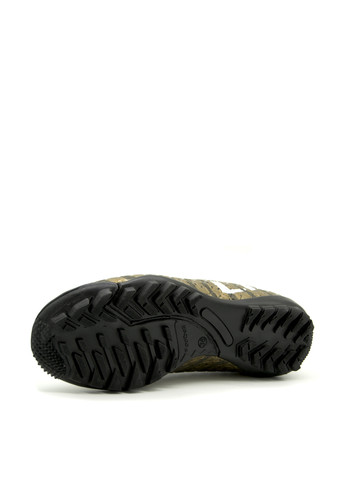 Золотые сороконожки Lion