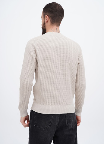 Бежевий демісезонний джемпер джемпер No Brand