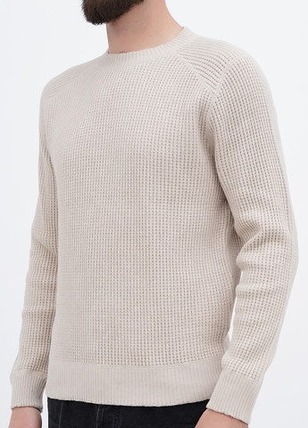 Бежевий демісезонний джемпер джемпер No Brand