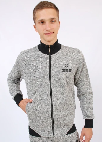 Світло-сірий демісезонний костюм (толстовка, брюки) брючний SAB