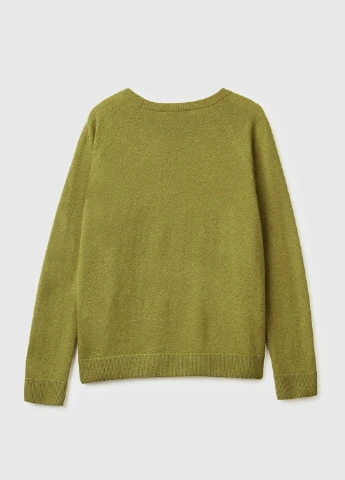Фисташковый демисезонный джемпер джемпер United Colors of Benetton