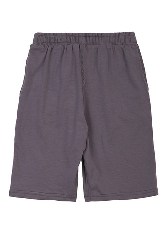 Шорты Flamingo (330227494)