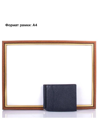 Чоловік шкіряний затиск для купюр 11х8,5х0,5 см Canpellini (195771392)