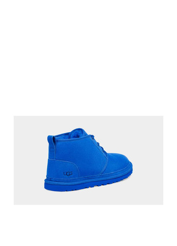 Черевики UGG (259445574)