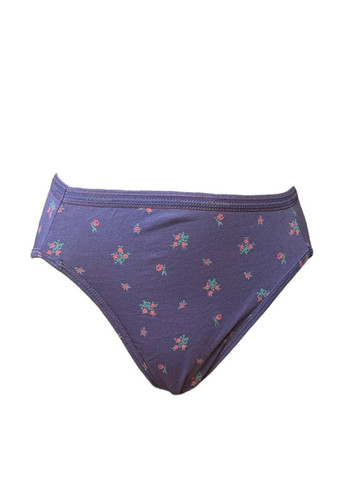 Трусики (2 шт.) Hanes (328269737)