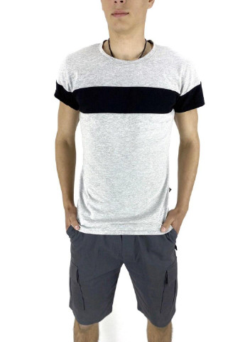 Комбинированный летний костюм летний мужской (футболка "color stripe" серая - черная + шорты miami серые) Intruder