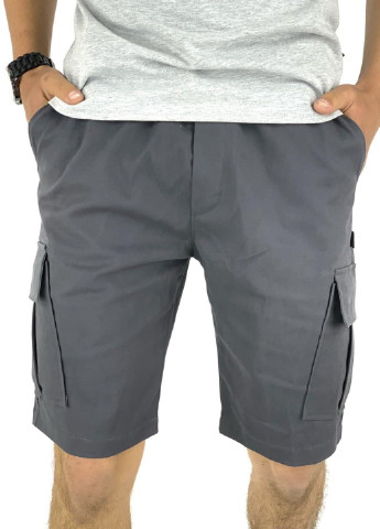 Комбинированный летний костюм летний мужской (футболка "color stripe" серая - черная + шорты miami серые) Intruder