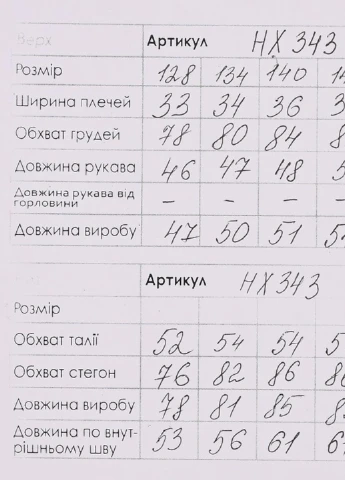 Серый зимний спортивный костюм Lizi