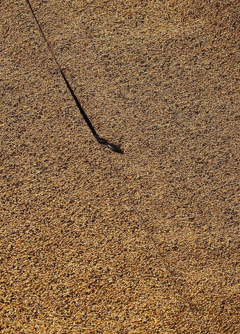 Золотистое вечернее платье силуэтная SHEIN однотонное