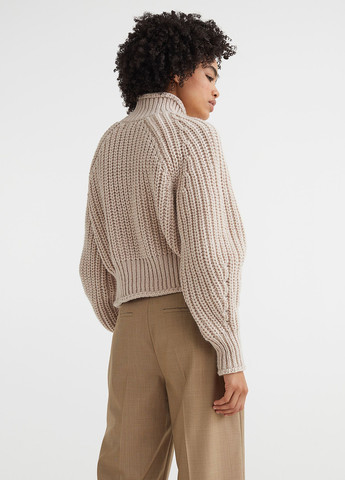 Светло-бежевый зимний джемпер зимовий H&M