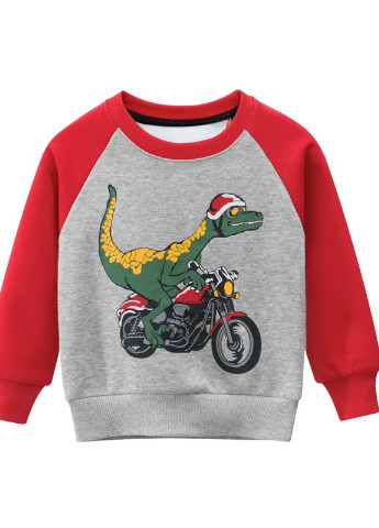 27 KIDS свитшот для мальчика утеплённый динозавр-гонщик рисунок серый кэжуал хлопок