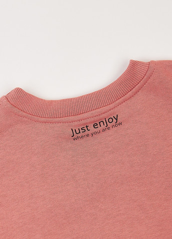 Фламинго свитшот однотонный розовый кэжуал хлопок, трехнитка