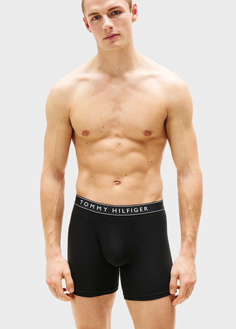 Труси (3 шт.) Tommy Hilfiger (347589997)