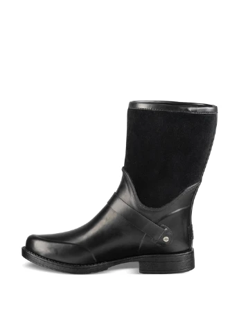 Чоботи UGG (23532345)