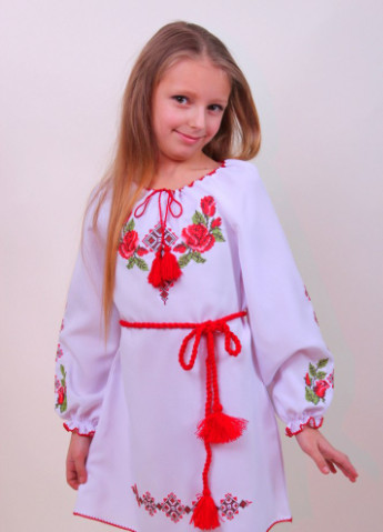 Платье-вышиванка с длинным рукавом Козачок (253994250)