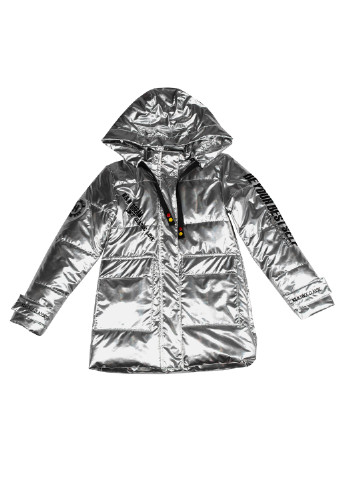 Срібна демісезонна куртка z-2167 164 срiблястий (2000903862666) No Name