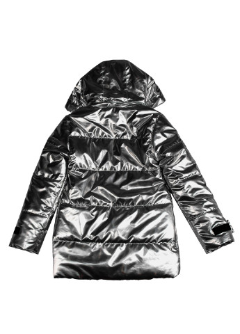Серебряная демисезонная куртка z-2167 164 серебристый (2000903862666) No Name