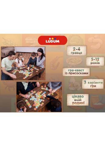 Настільна дитяча гра 7х25х20 см Ludum (253659703)
