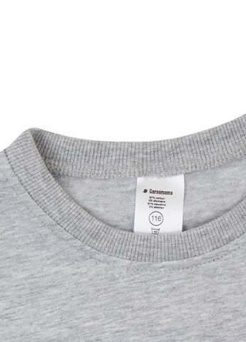 Серая летняя футболка Garnamama